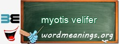 WordMeaning blackboard for myotis velifer